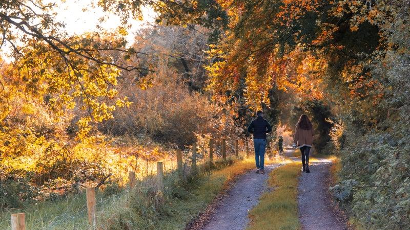 Walk & Talk Therapy – Could Counselling in Nature Be Right for You?