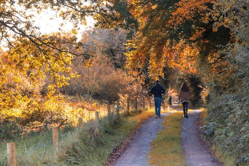 Walk & Talk Therapy – Could Counselling in Nature Be Right for You?